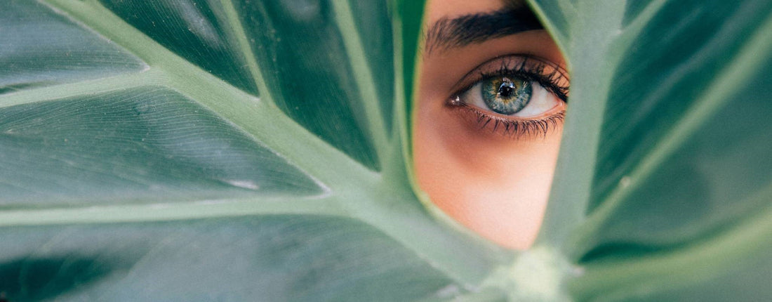 Primer plano de un ojo verde entre hojas tropicales, simbolizando frescura, naturaleza y cuidado personal.